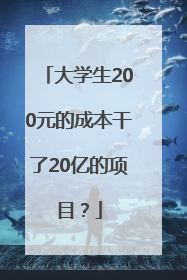 大学生200元的成本干了20亿的项目？