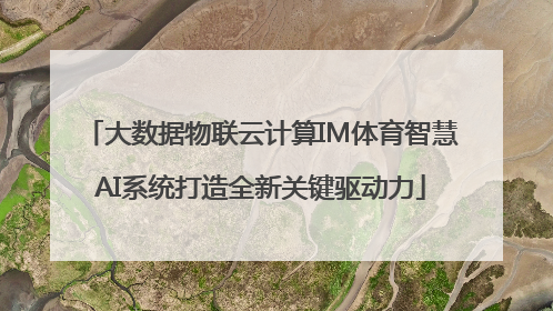 大数据物联云计算IM体育智慧AI系统打造全新关键驱动力