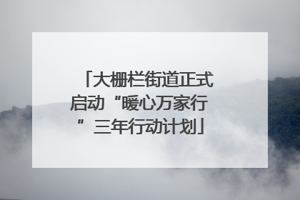 大栅栏街道正式启动“暖心万家行”三年行动计划