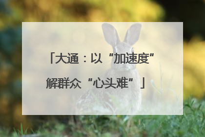 大通：以“加速度”解群众“心头难”