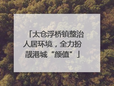 太仓浮桥镇整治人居环境，全力扮靓港城“颜值”