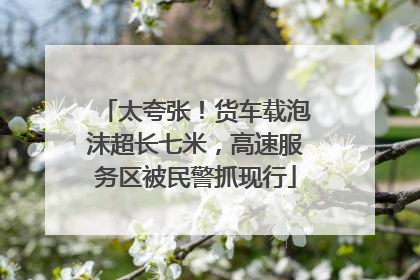 太夸张！货车载泡沫超长七米，高速服务区被民警抓现行
