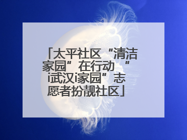 太平社区“清洁家园”在行动 “i武汉i家园”志愿者扮靓社区