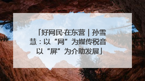 好网民·在东营｜孙雪慧：以“网”为媒传税音 以“屏”为介助发展