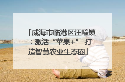 威海市临港区汪疃镇：激活“苹果+” 打造智慧农业生态圈