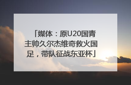 媒体：原U20国青主帅久尔杰维奇救火国足，带队征战东亚杯