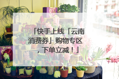 快手上线「云南消费券」购物专区，下单立减！