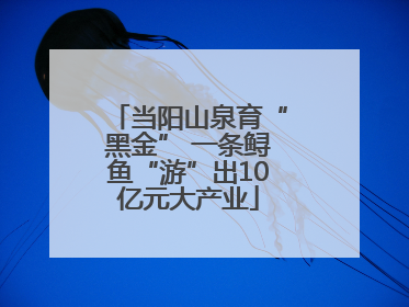 当阳山泉育“黑金” 一条鲟鱼“游”出10亿元大产业