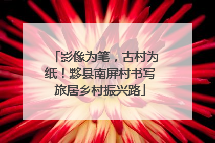 影像为笔，古村为纸！黟县南屏村书写旅居乡村振兴路