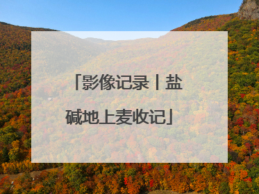 影像记录丨盐碱地上麦收记