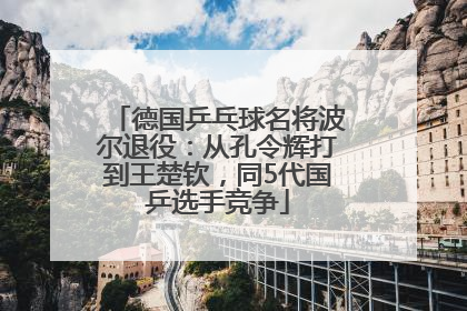 德国乒乓球名将波尔退役：从孔令辉打到王楚钦，同5代国乒选手竞争