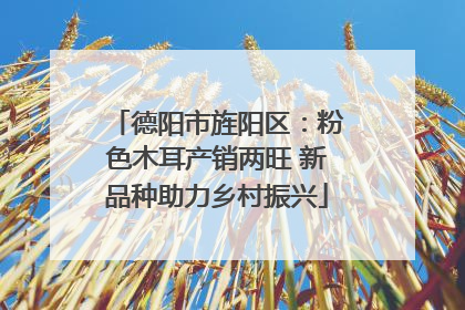 德阳市旌阳区：粉色木耳产销两旺 新品种助力乡村振兴