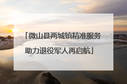 微山县两城镇精准服务助力退役军人再启航