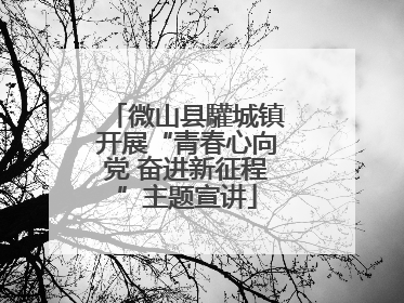 微山县驩城镇开展“青春心向党 奋进新征程”主题宣讲