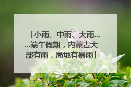 小雨、中雨、大雨……端午假期，内蒙古大部有雨，局地有暴雨