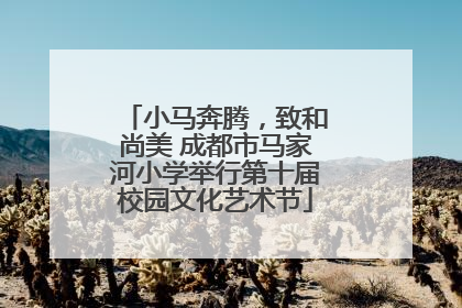 小马奔腾，致和尚美 成都市马家河小学举行第十届校园文化艺术节