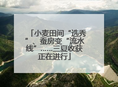 小麦田间“选秀”、蚕房变“流水线”……三夏收获正在进行