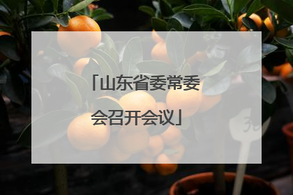 山东省委常委会召开会议