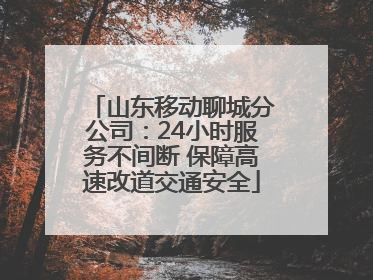 山东移动聊城分公司：24小时服务不间断 保障高速改道交通安全