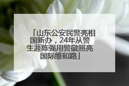山东公安民警亮相国新办，24年从警生涯陈强用警徽照亮国际维和路
