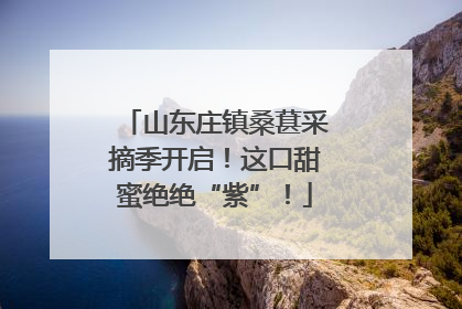 山东庄镇桑葚采摘季开启！这口甜蜜绝绝“紫”！