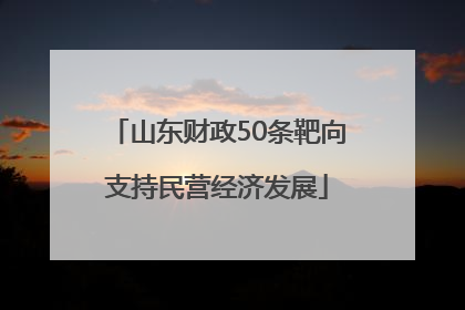 山东财政50条靶向支持民营经济发展