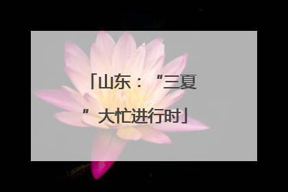 山东：“三夏”大忙进行时
