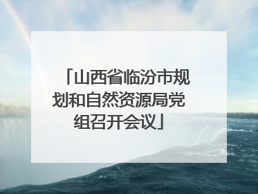 山西省临汾市规划和自然资源局党组召开会议