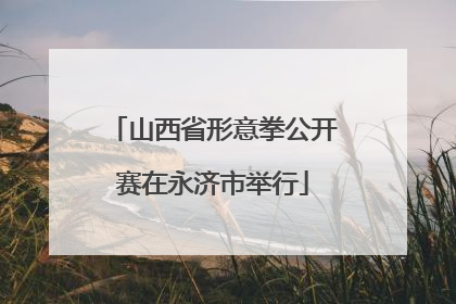 山西省形意拳公开赛在永济市举行