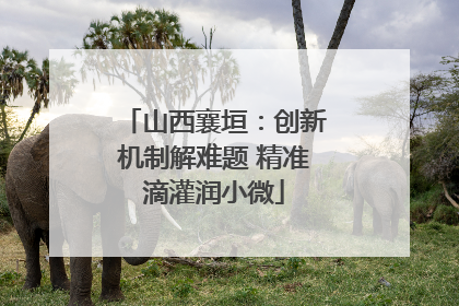 山西襄垣：创新机制解难题 精准滴灌润小微