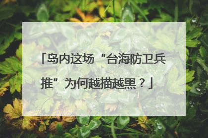 岛内这场“台海防卫兵推”为何越描越黑？