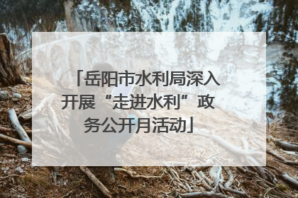 岳阳市水利局深入开展“走进水利”政务公开月活动