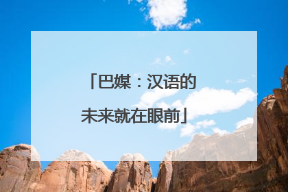巴媒：汉语的未来就在眼前