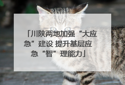 川陕两地加强“大应急”建设 提升基层应急“智”理能力