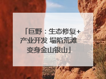巨野：生态修复+产业开发 塌陷荒滩变身金山银山