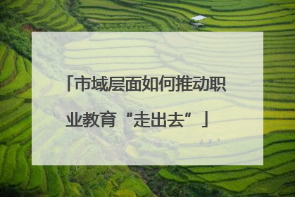 市域层面如何推动职业教育“走出去”
