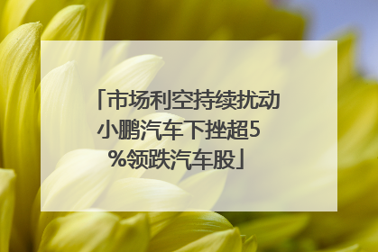 市场利空持续扰动 小鹏汽车下挫超5%领跌汽车股