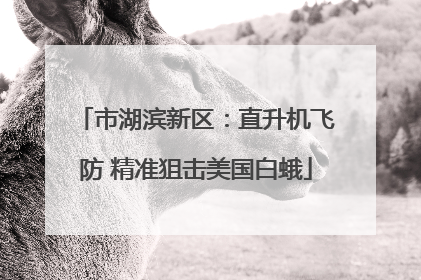市湖滨新区：直升机飞防 精准狙击美国白蛾