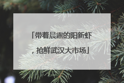 带着晨露的阳新虾，抢鲜武汉大市场