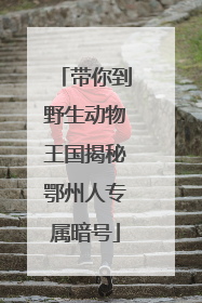 带你到野生动物王国揭秘鄂州人专属暗号