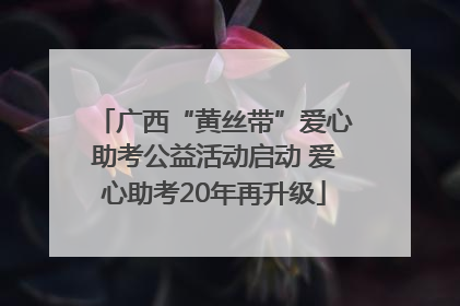 广西“黄丝带”爱心助考公益活动启动 爱心助考20年再升级
