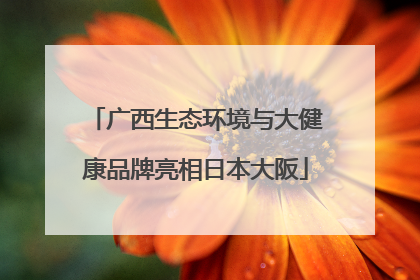 广西生态环境与大健康品牌亮相日本大阪