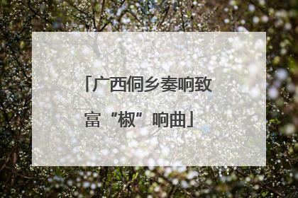 广西侗乡奏响致富“椒”响曲