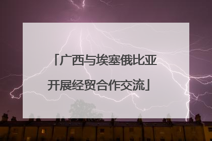 广西与埃塞俄比亚开展经贸合作交流