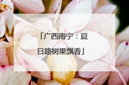 广西南宁：夏日路树果飘香