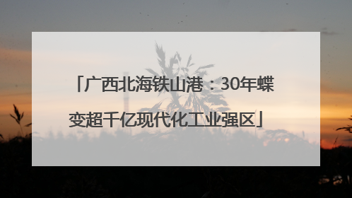 广西北海铁山港：30年蝶变超千亿现代化工业强区