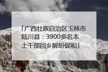 广西壮族自治区玉林市陆川县：3900多名本土干部回乡解纷促和