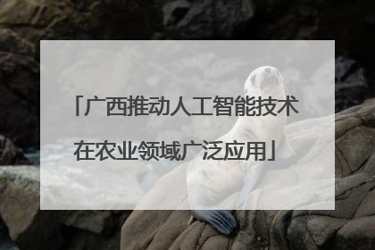广西推动人工智能技术在农业领域广泛应用