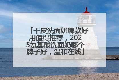 干皮洗面奶哪款好用值得推荐，2025氨基酸洗面奶哪个牌子好，温和在线