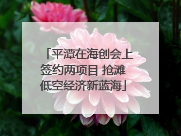 平潭在海创会上签约两项目 抢滩低空经济新蓝海
